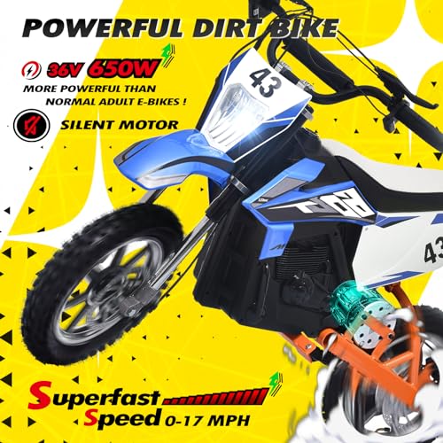 Blitzshark 36V 650W Kids Electric Dirt Bike VIP