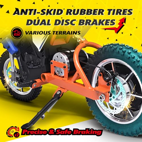 Blitzshark 36V 650W Kids Electric Dirt Bike VIP