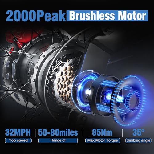 ACTBEST Electric Dirt Bike for Adults- 2000W Motor