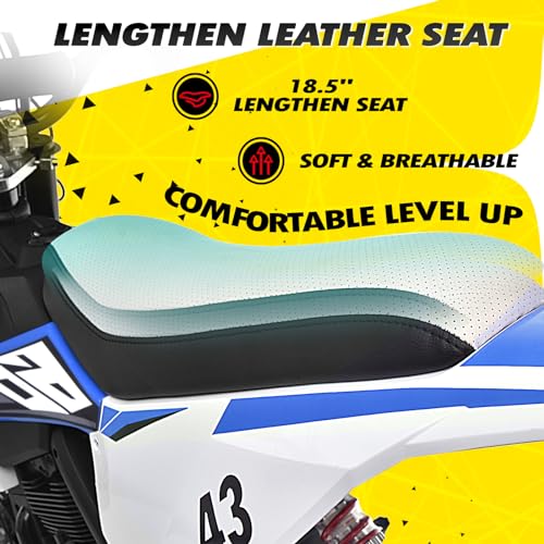 Blitzshark 36V 650W Kids Electric Dirt Bike VIP