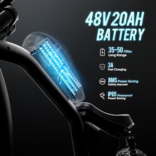 2024 HEDONIC FT-02 Electric Bike with 1300W Power