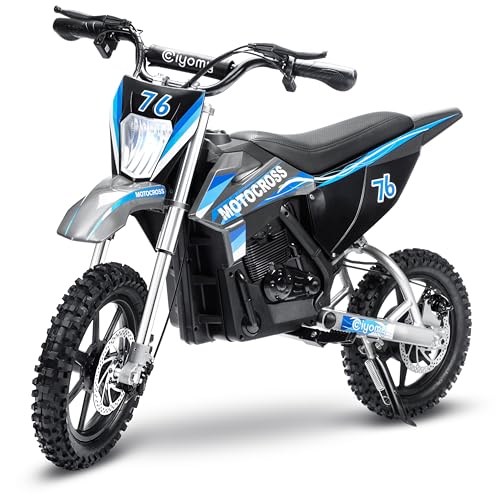 Powerful 36V 500W Electric Dirt Bike Motorcycle for Kids