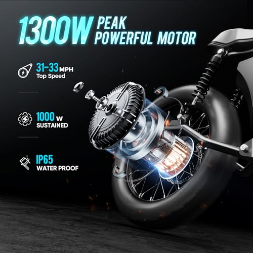 2024 HEDONIC FT-02 Electric Bike with 1300W Power