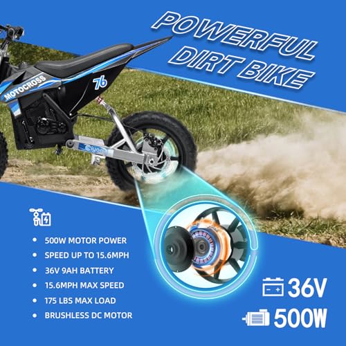 Powerful 36V 500W Electric Dirt Bike Motorcycle for Kids