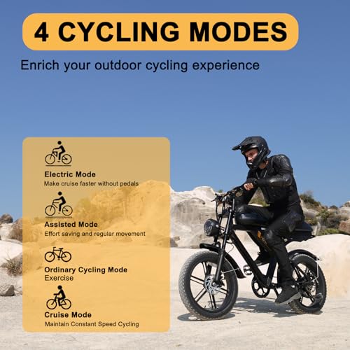 Besintu MOVCAN 1000W Electric Bike for VIP Riders