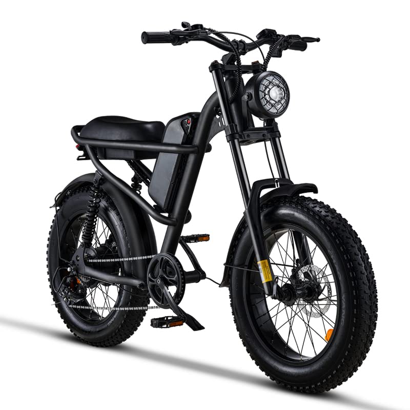 VIP Winter Ebike: 1500W, 28MPH, 75 Mile Range