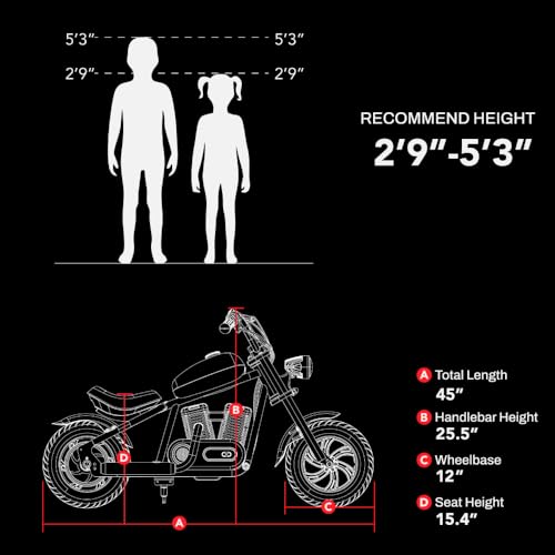 Electric Dirt Retro Bike Scout 12,24V 160W for Kids