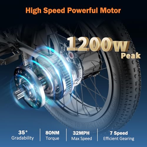 Ribeko Electric Bikes for Adults with 1200W Motor