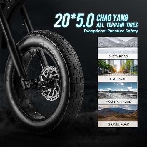 2024 HEDONIC FT-02 Electric Bike with 1300W Power