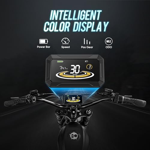 2024 HEDONIC FT-02 Electric Bike with 1300W Power