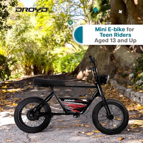 Droyd Blipper Electric Mini Bike for Kids - 250W - 12.5MPH