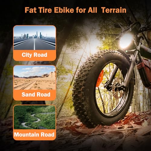 Ribeko Electric Bikes for Adults with 1200W Motor