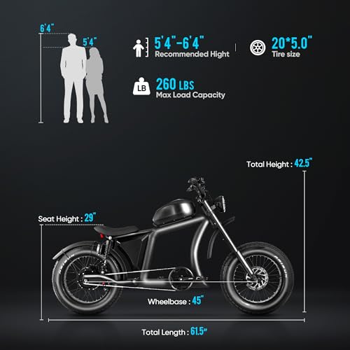 2024 HEDONIC FT-02 Electric Bike with 1300W Power