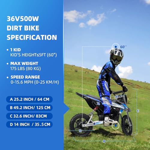 Powerful 36V 500W Electric Dirt Bike Motorcycle for Kids