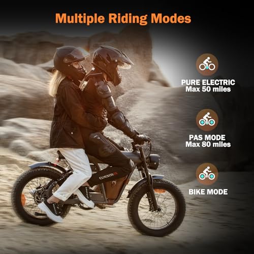 Ribeko Electric Bikes for Adults with 1200W Motor