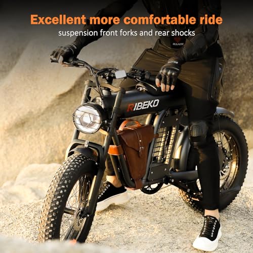 Ribeko Electric Bikes for Adults with 1200W Motor