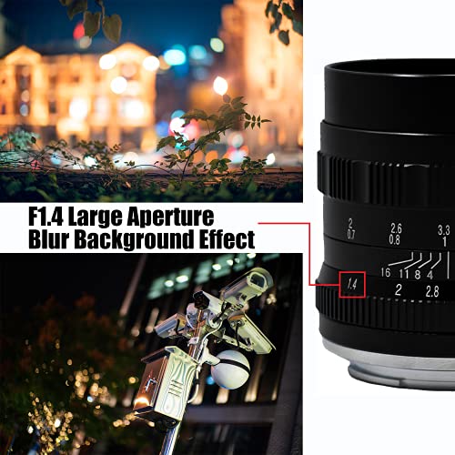 Brightin Star 50mm F1.4 Lens for Micro 4/3 Cameras