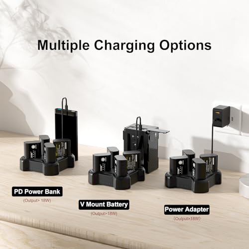 ZITAY 4-Channel Charger for Panasonic DMW-BLK22 GH4 Lumix