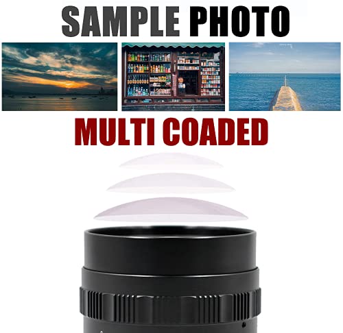 Brightin Star 50mm F1.4 Lens for Micro 4/3 Cameras