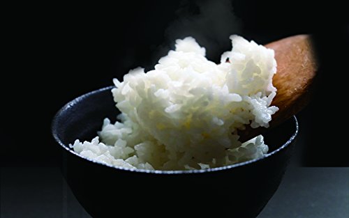 MICHIBA KITCHEN PRODUCT Electric Rice Milling Machine