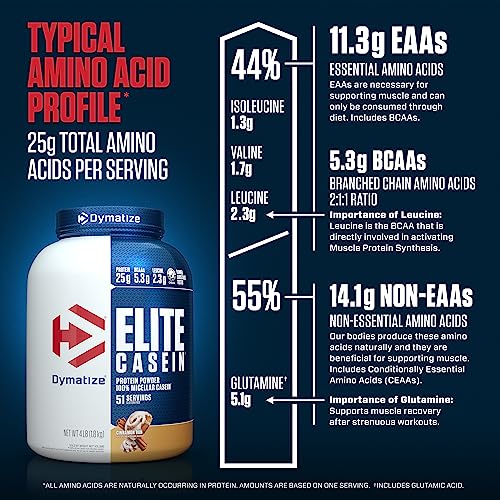 Dymatize Elite Casein Protein Powder, Muscle Building, Cinnamon Bun