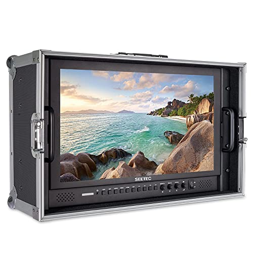 17.3" SEETEC Broadcast Production Director Monitor Full HD