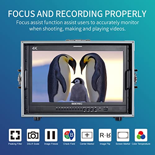 SEETEC 21.5" 3G SDI 4K HDMI Director Monitor