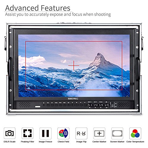 17.3" SEETEC Broadcast Production Director Monitor Full HD
