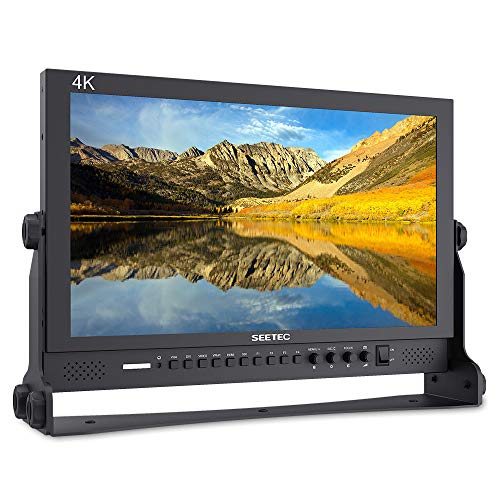 SEETEC P173-9HSD 17.3" HD Desktop Monitor VIP Smart Shopper