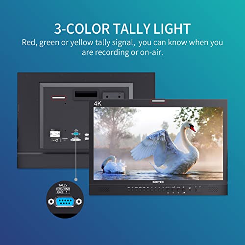 SEETEC 21.5" 3G SDI 4K HDMI Director Monitor