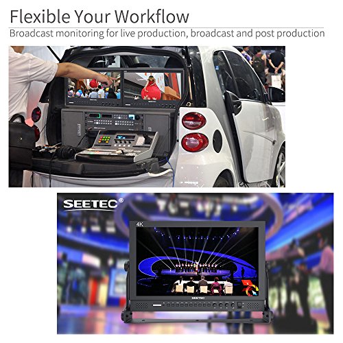SEETEC P173-9HSD 17.3" HD Desktop Monitor VIP Smart Shopper