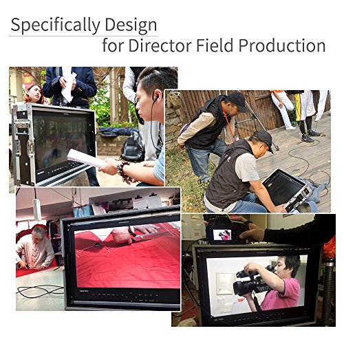 17.3" SEETEC Broadcast Production Director Monitor Full HD
