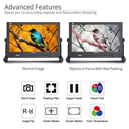 SEETEC P173-9HSD 17.3" HD Desktop Monitor VIP Smart Shopper