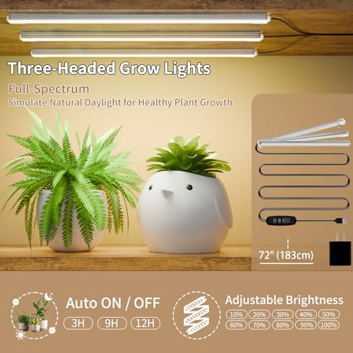 8-Tiered Indoor Plant Stand with Grow Lights, 62"" Tall
