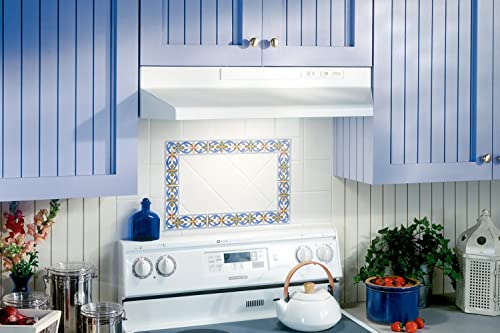 Broan-NuTone F403011 Insert Light, Exhaust Fan 30-Inch