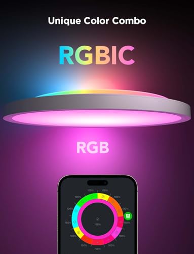 Govee Smart RGBIC LED Ceiling Light Fixture 12
