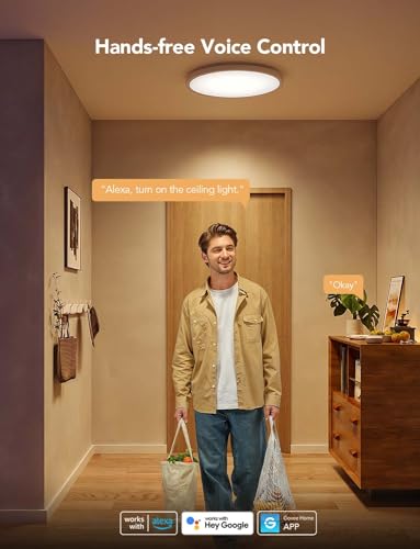 Govee Smart RGBIC LED Ceiling Light Fixture 12