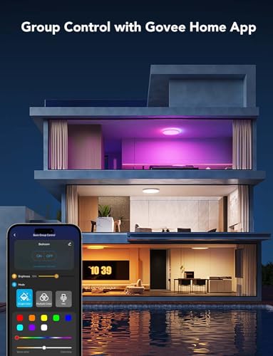 Govee Smart RGBIC LED Ceiling Light Fixture 12