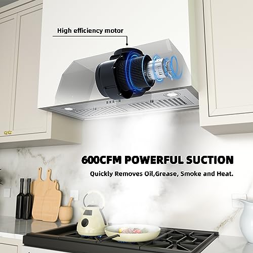 30" FIREGAS Range Hood Insert with 600 CFM