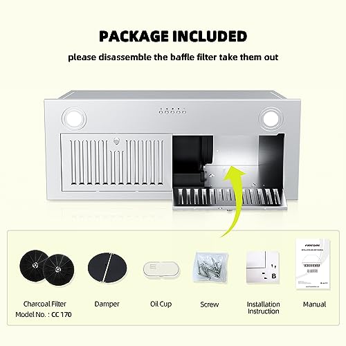30" FIREGAS Range Hood Insert with 600 CFM