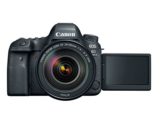 Canon EOS 6D Mark II DSLR Camera with EF 24-105mm Lens