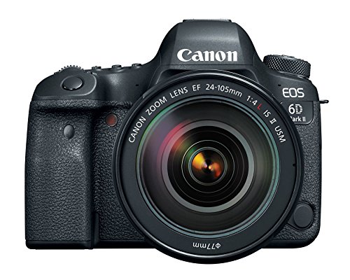 Canon EOS 6D Mark II DSLR Camera with EF 24-105mm Lens