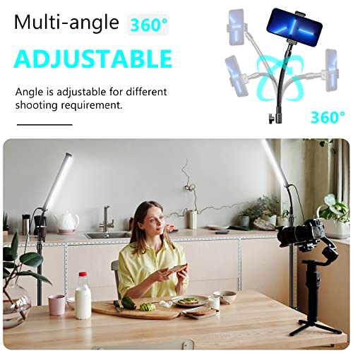 Vallkay LED Video Lighting Kit with Wand Stick