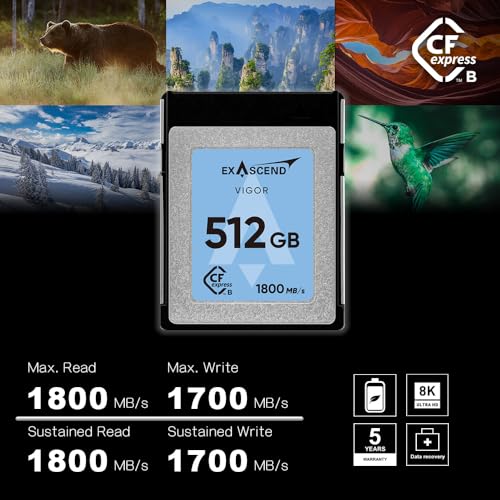 Exascend Vigor CFexpress Type B Card Bundle Pack