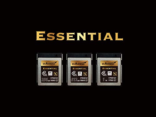 1TB CFexpress Card Type B for Canon, Nikon Cameras