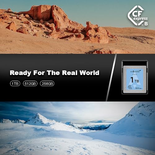 Exascend Vigor CFexpress Type B Card Bundle Pack