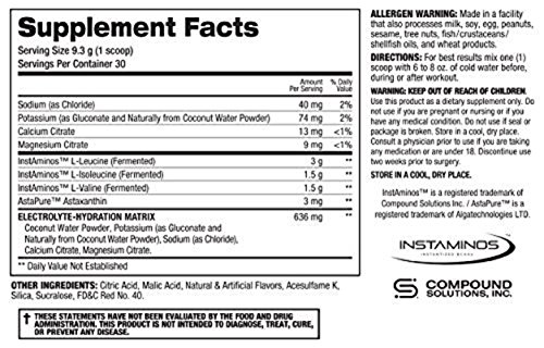 Secret Nutrition BCAA Re-Igniter Raspberry Sherbet Amino Supplement