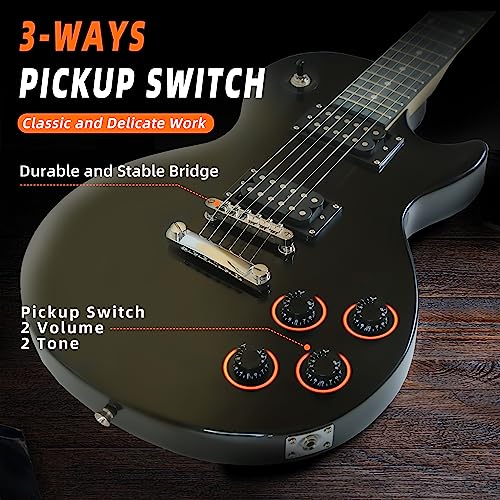 Ermik LP Style Electric Guitar Kit for Beginners