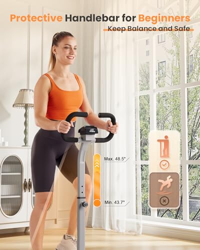 FLYBIRD Stepper with Handlebar - Quiet Leg Workout