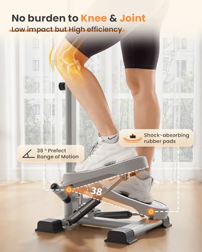 FLYBIRD Stepper with Handlebar - Quiet Leg Workout
